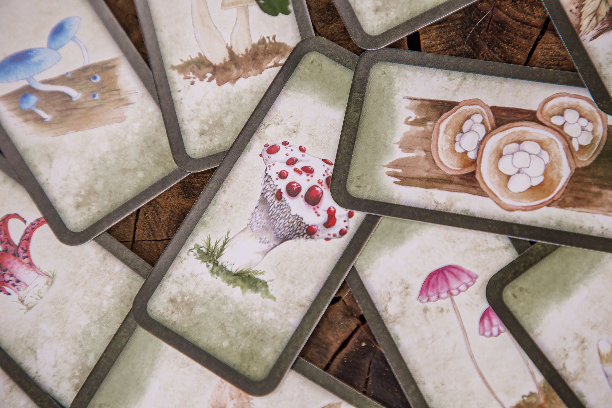 Mushroom Affirmations