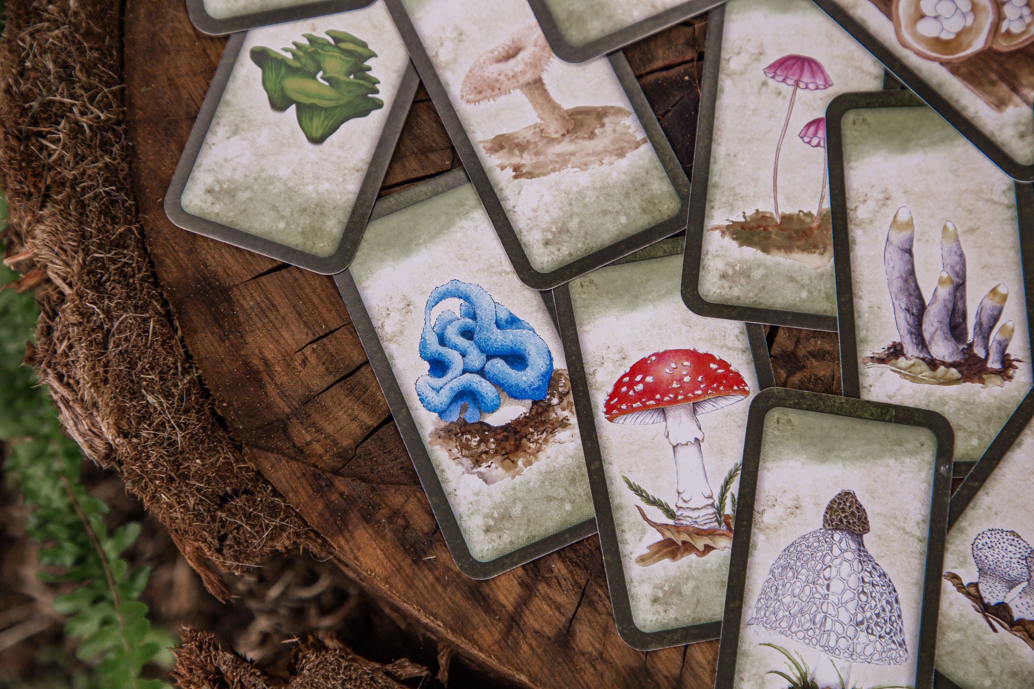 Mushroom Affirmations