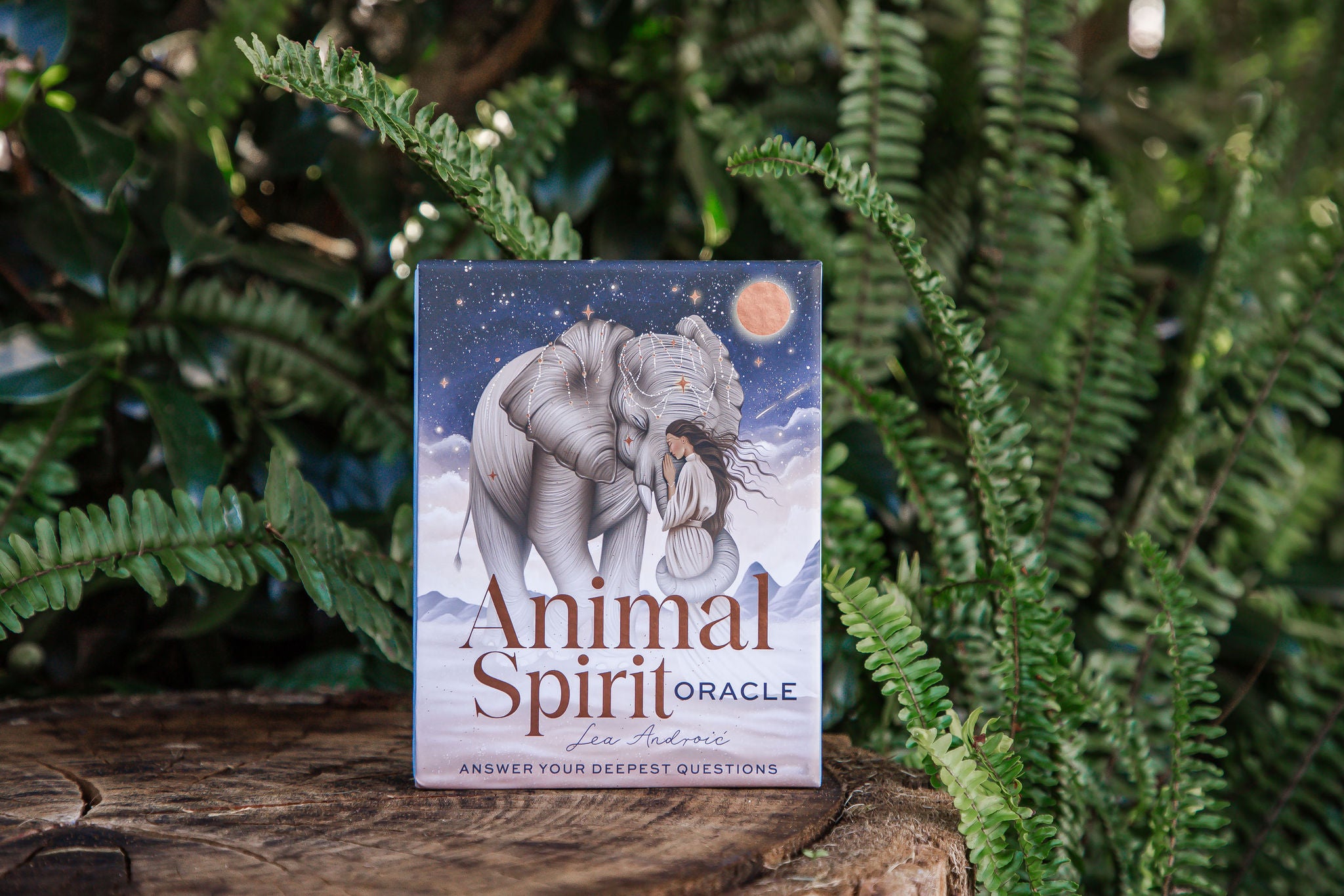 Animal Spirit Oracle
