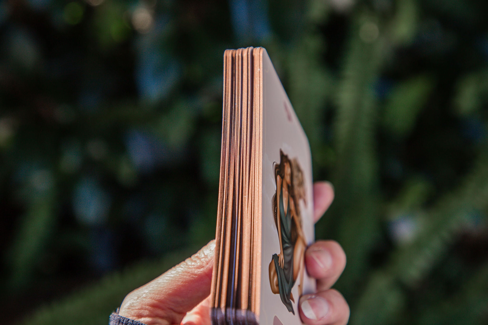 Animal Spirit Oracle