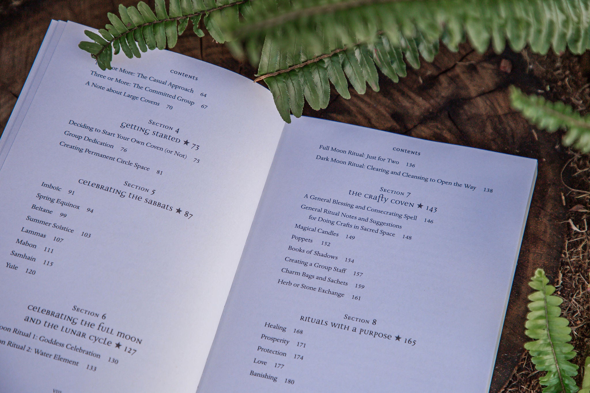 The Everyday Witch's Coven | Rituals & Magic For Two or More