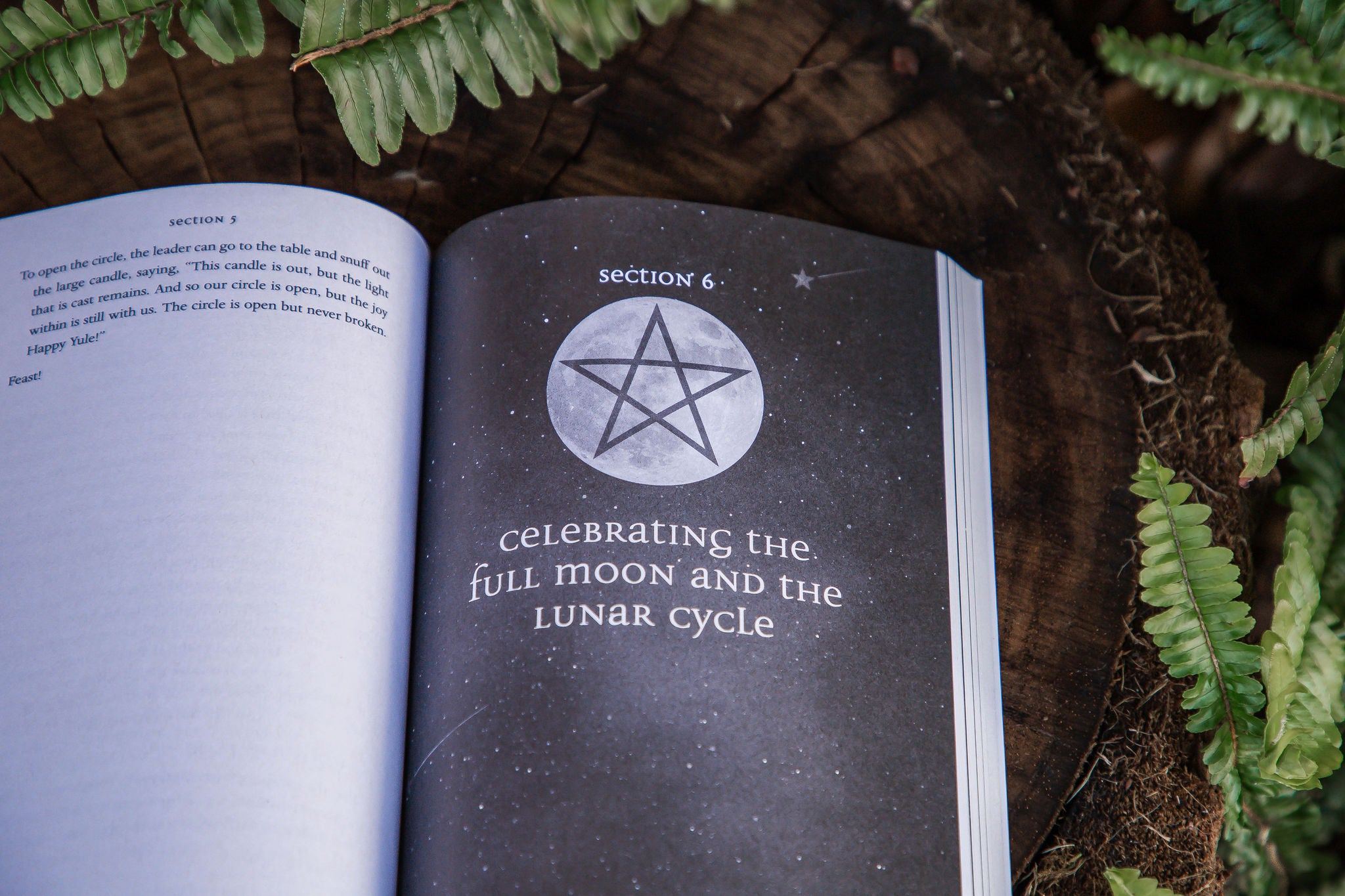 The Everyday Witch's Coven | Rituals & Magic For Two or More