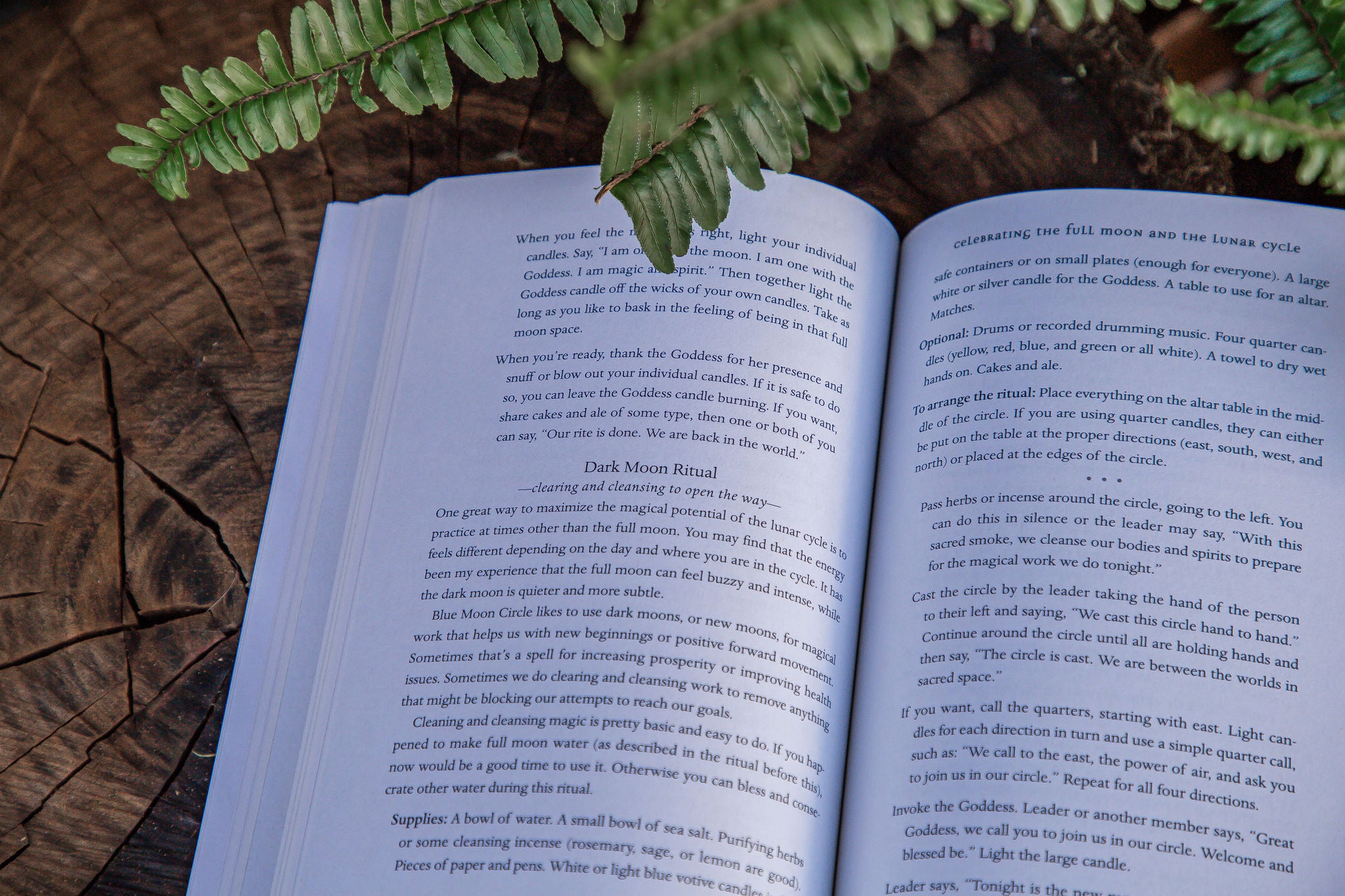 The Everyday Witch's Coven | Rituals & Magic For Two or More