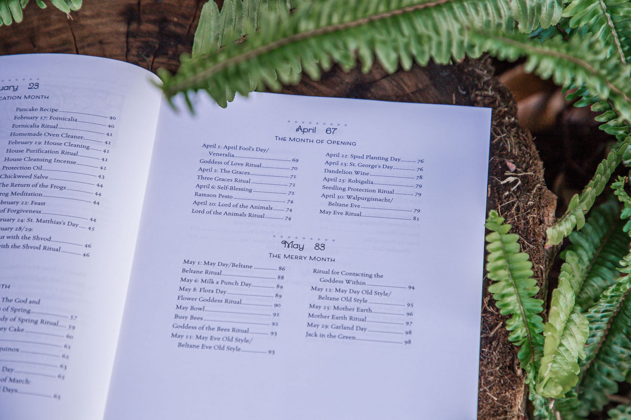 The Hearth Witch's Year