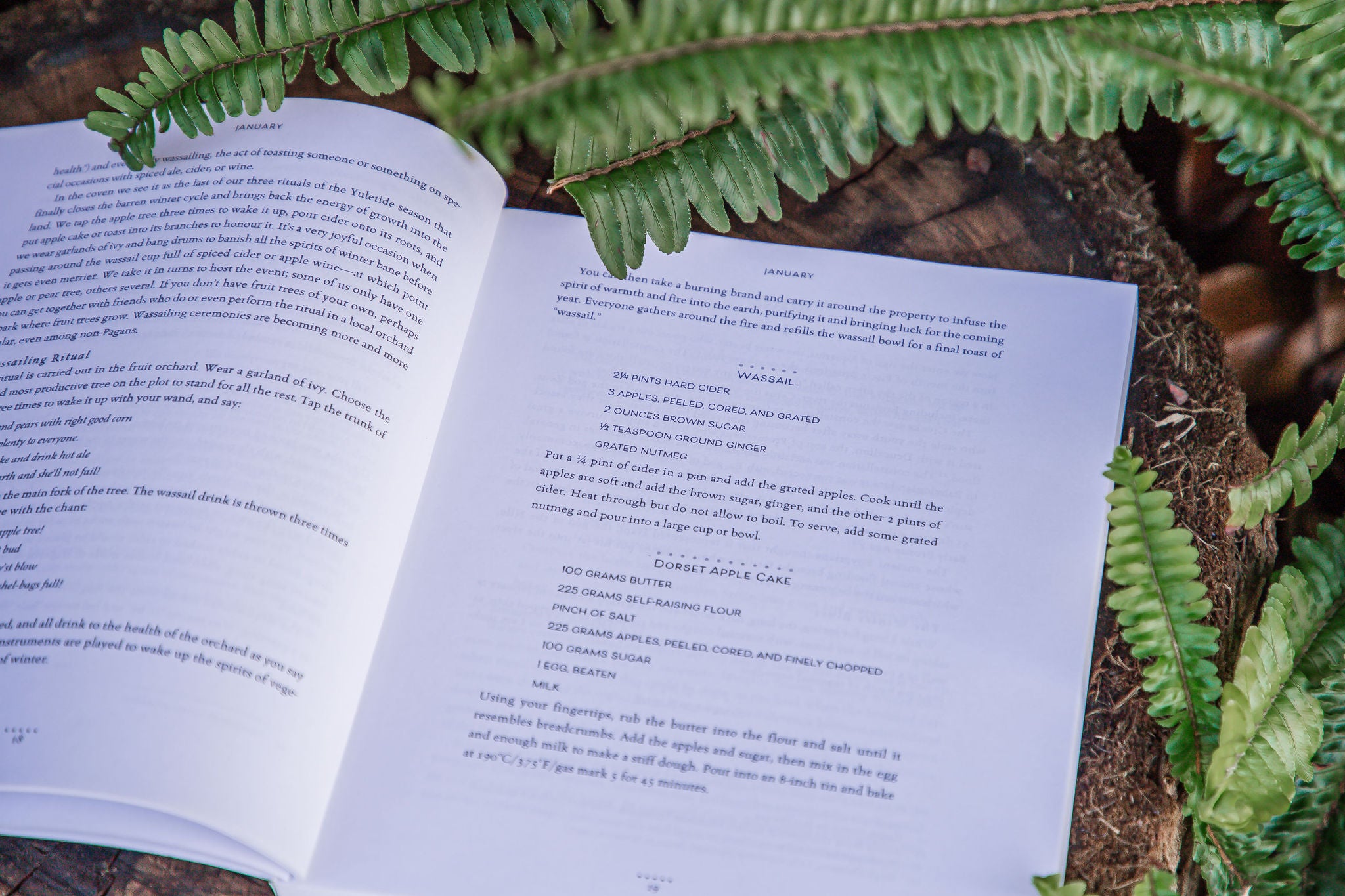 The Hearth Witch's Year