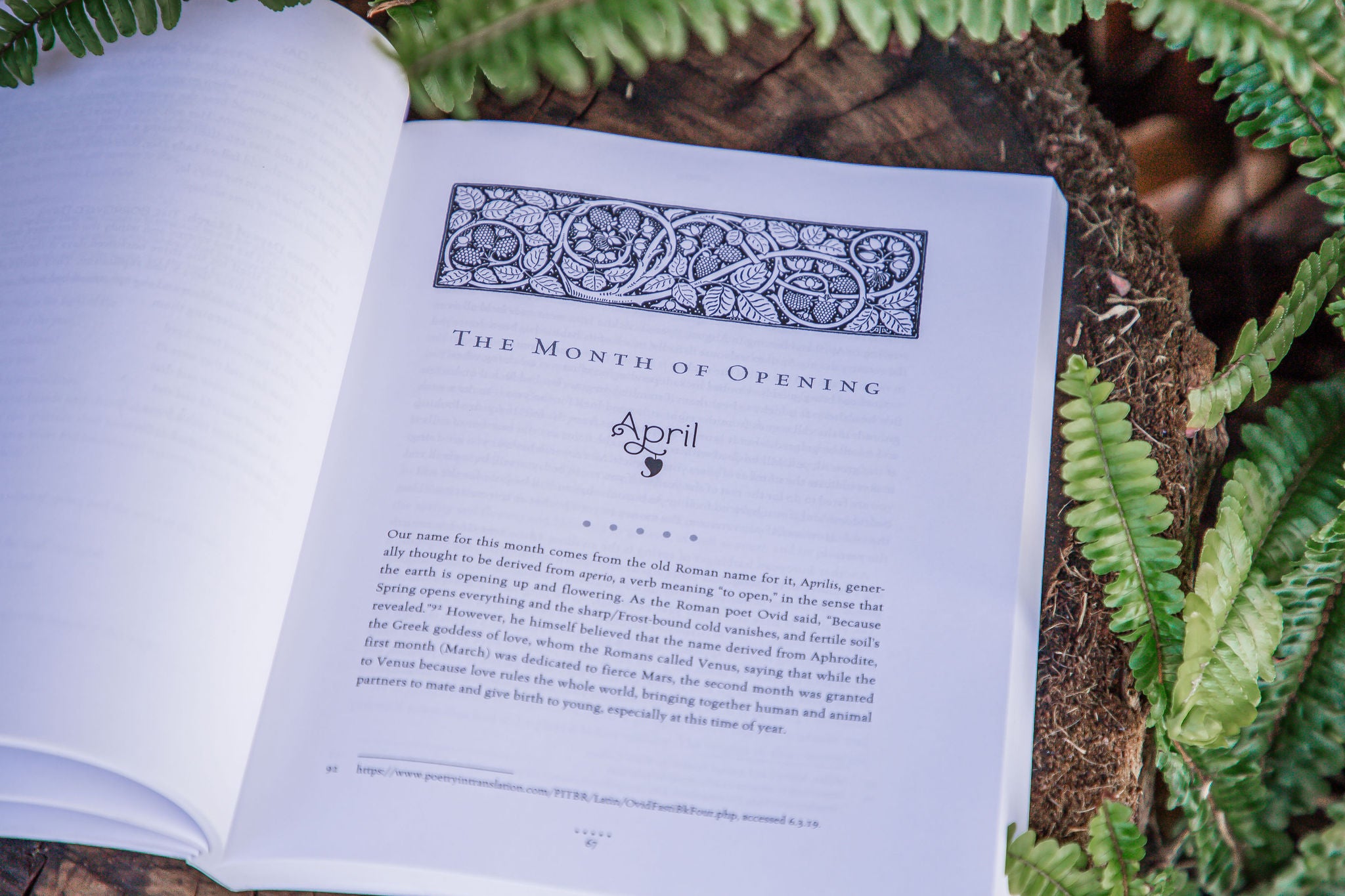 The Hearth Witch's Year