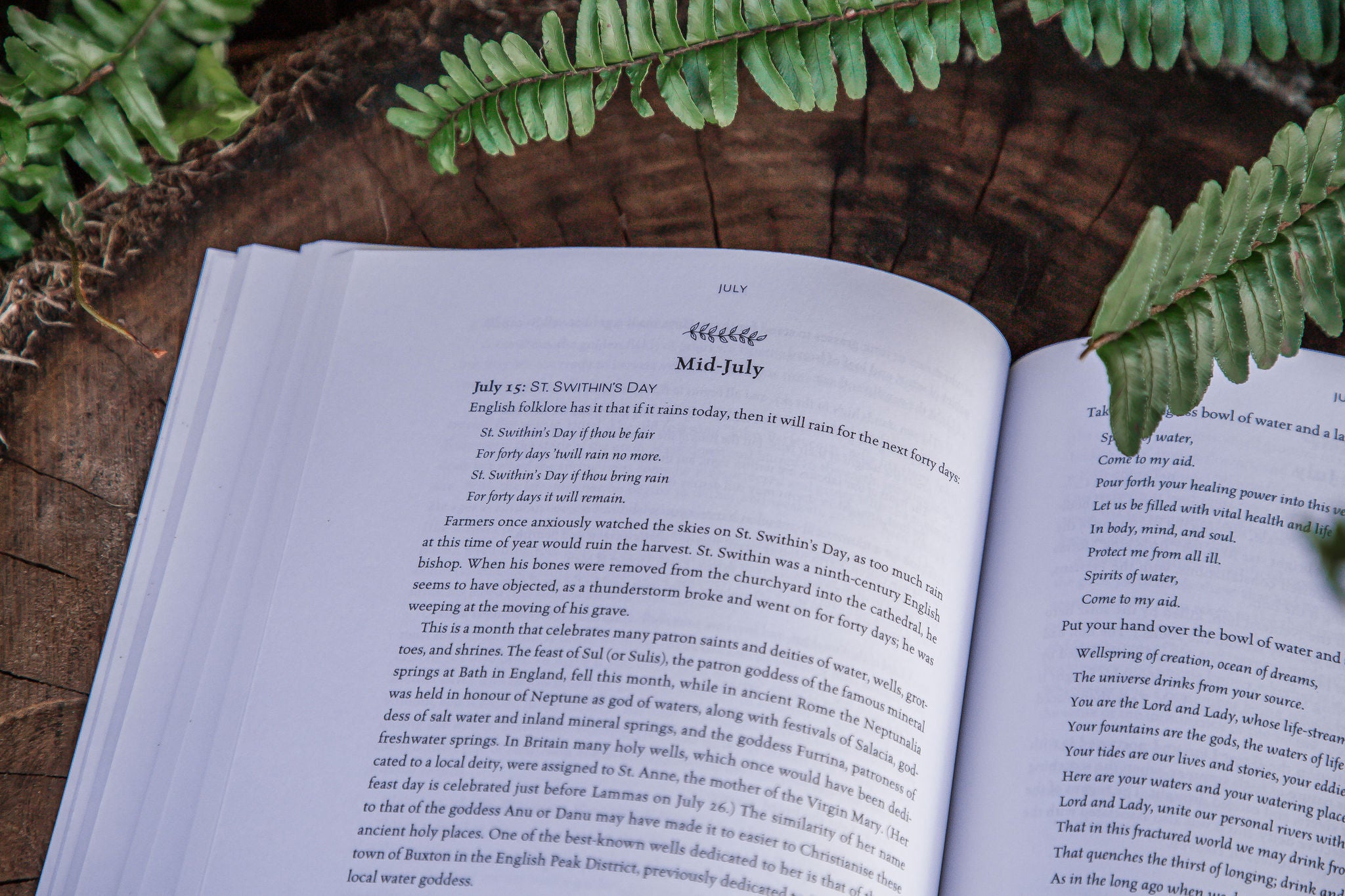 The Hearth Witch's Year