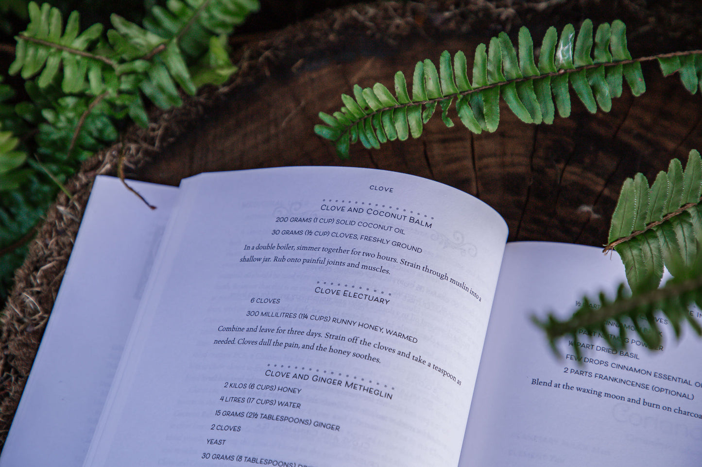 The Hearth Witch's Kitchen Herbal