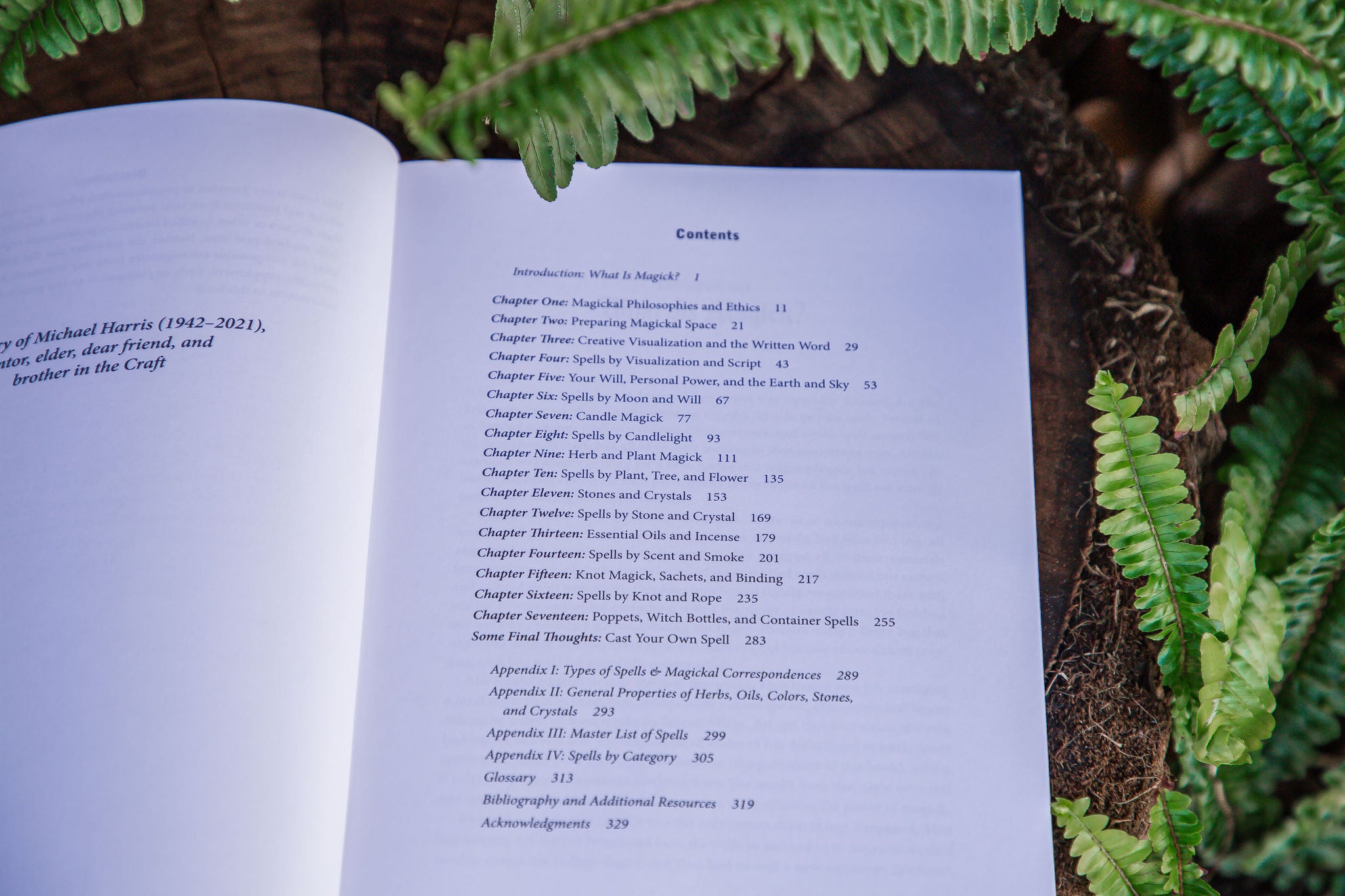 The Witch's Book of Spellcraft