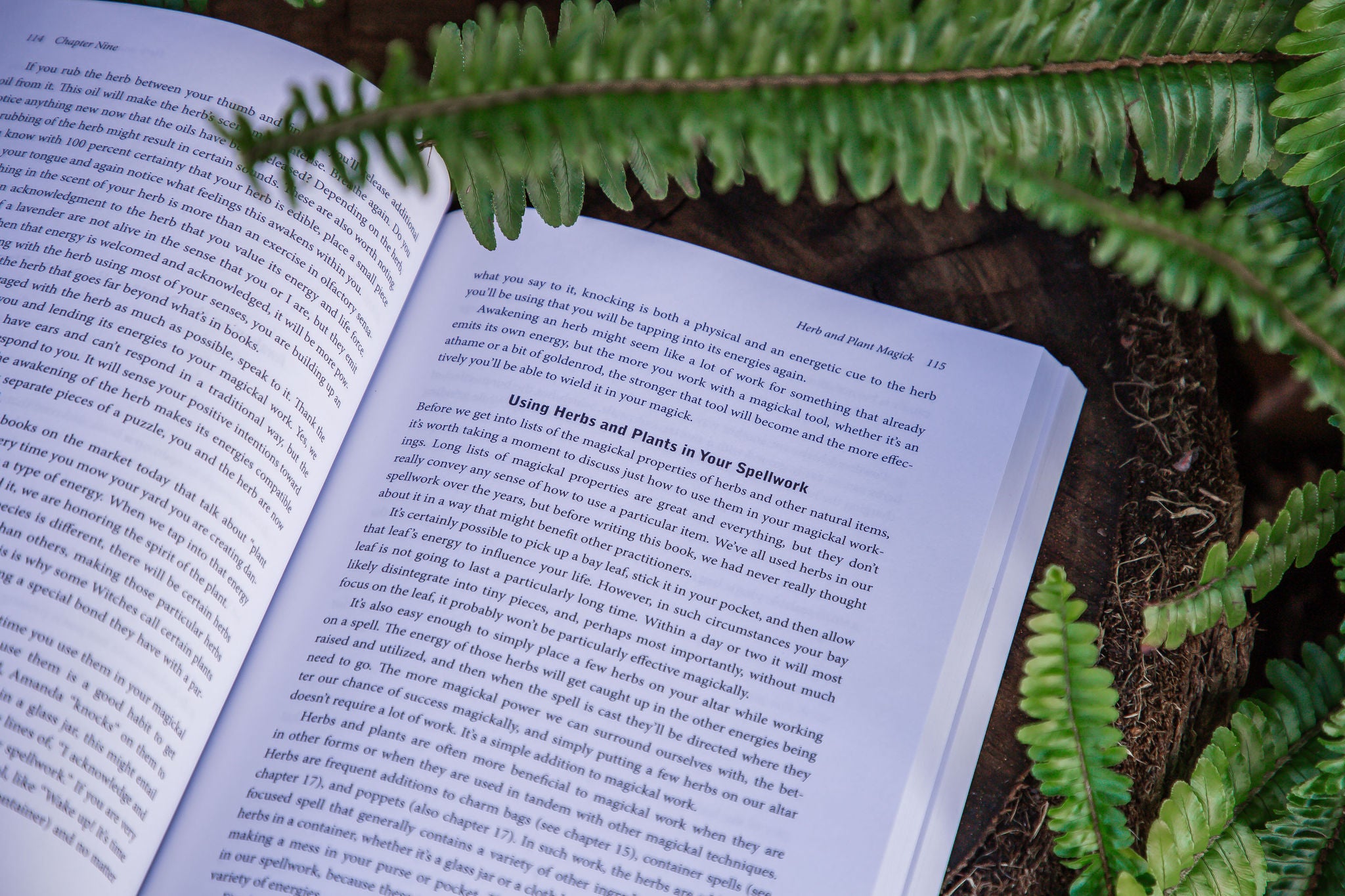 The Witch's Book of Spellcraft