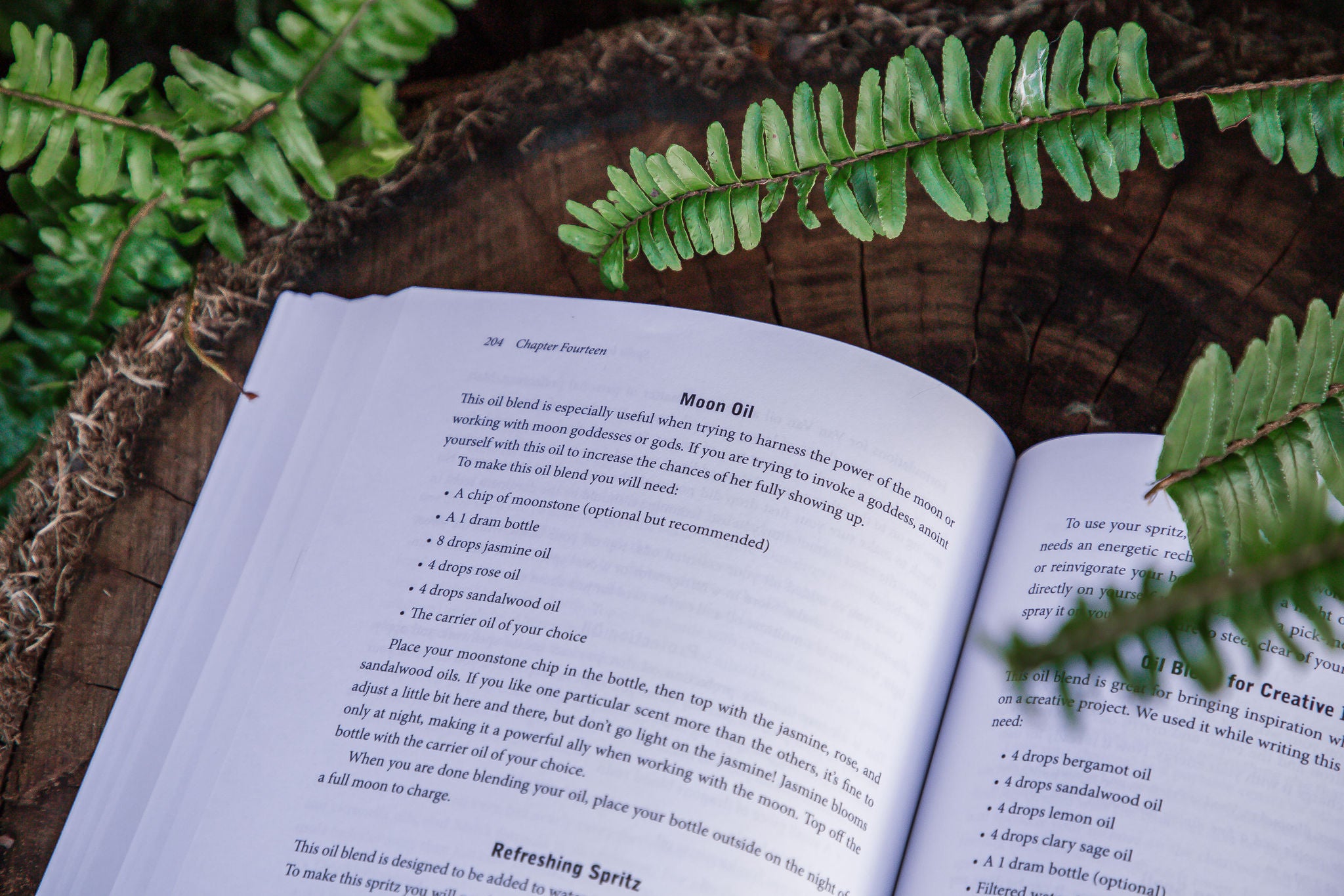 The Witch's Book of Spellcraft