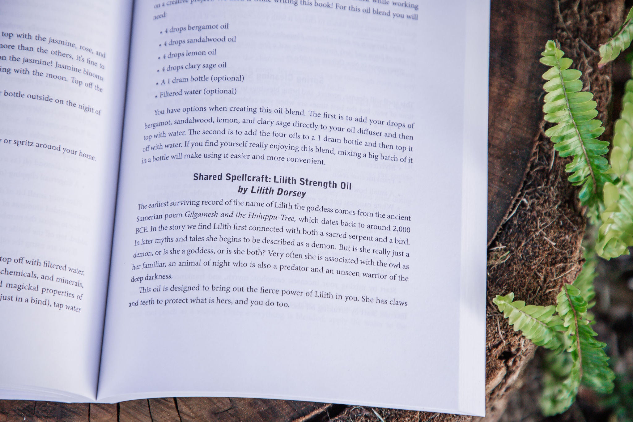 The Witch's Book of Spellcraft