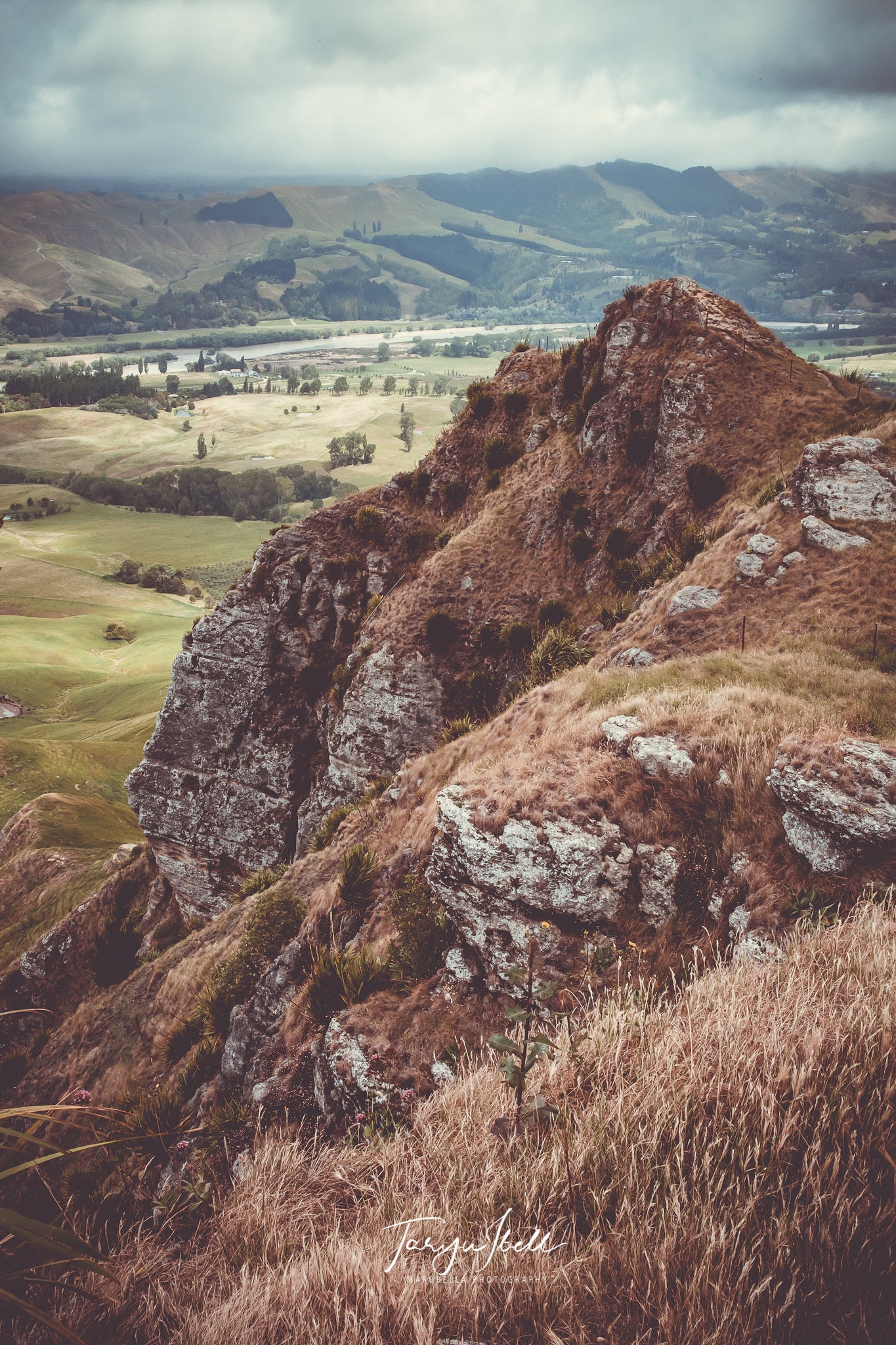 Weathered Giant | Digital Download