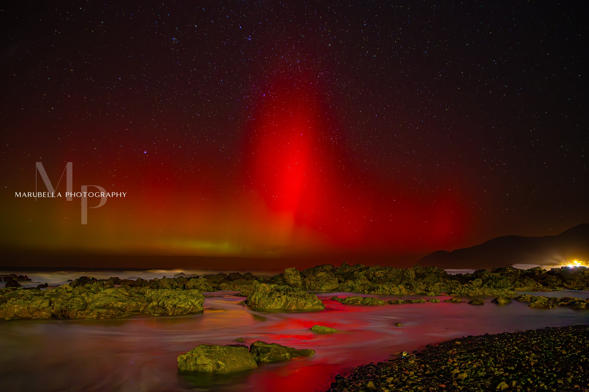 Silent Symphony | Digital Download