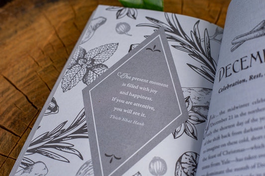 Enchanted Kitchen | Connect to Spirit with Recipes & Rituals Through the Year