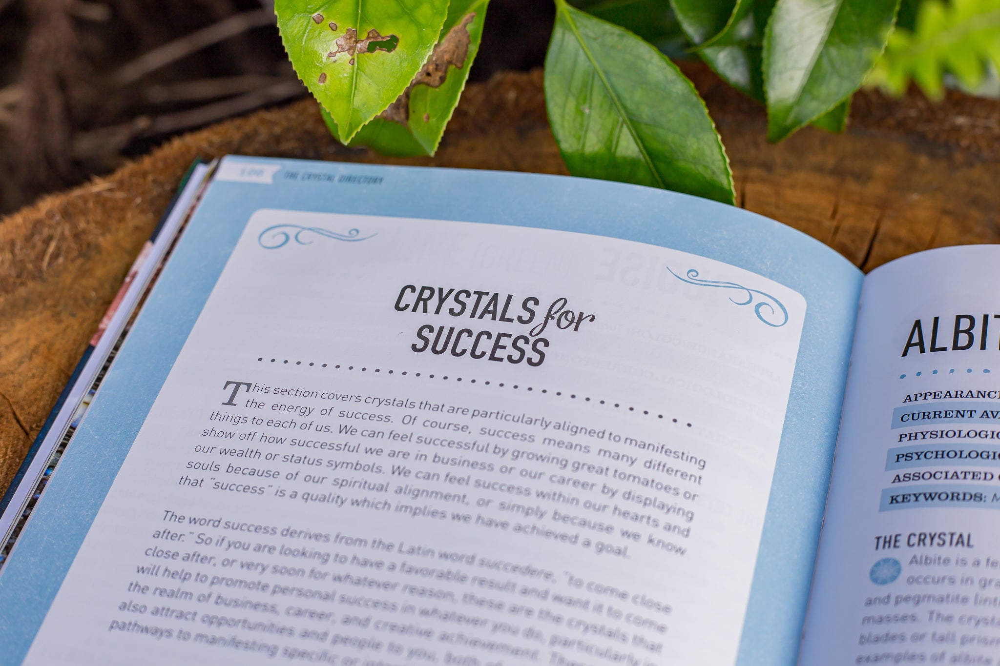The Crystal Directory | 100 Crystals for Positive Manifestation