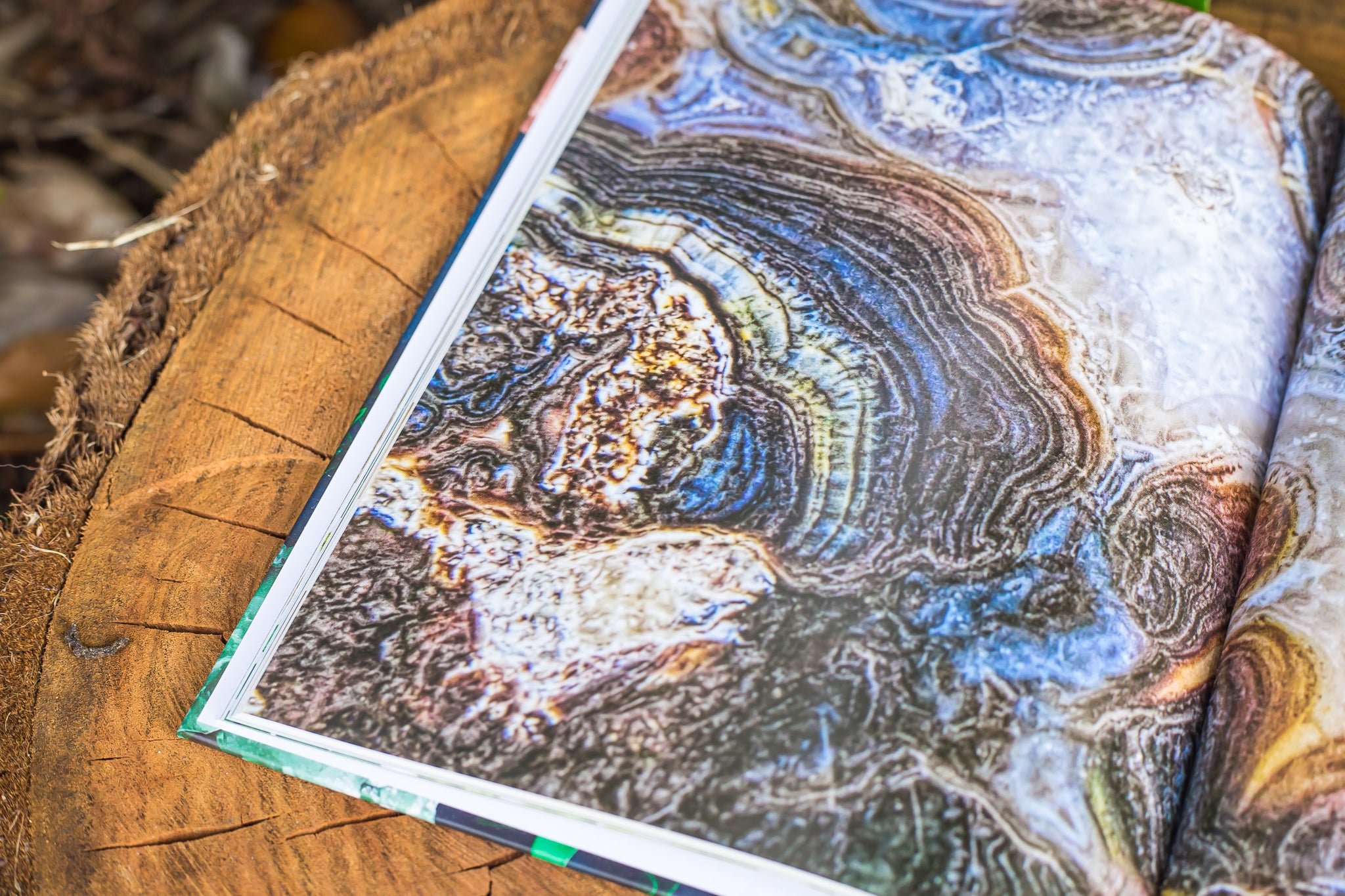 The Crystal Directory | 100 Crystals for Positive Manifestation