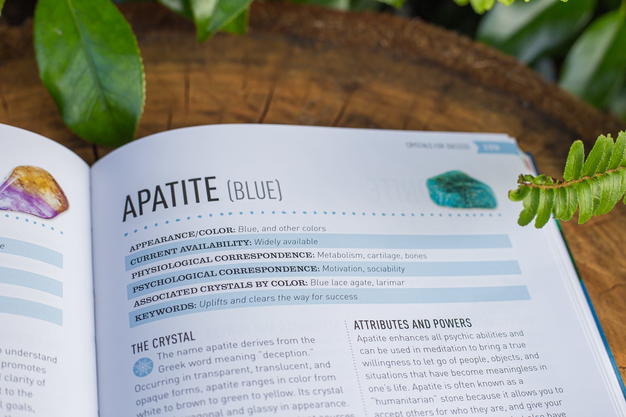 The Crystal Directory | 100 Crystals for Positive Manifestation