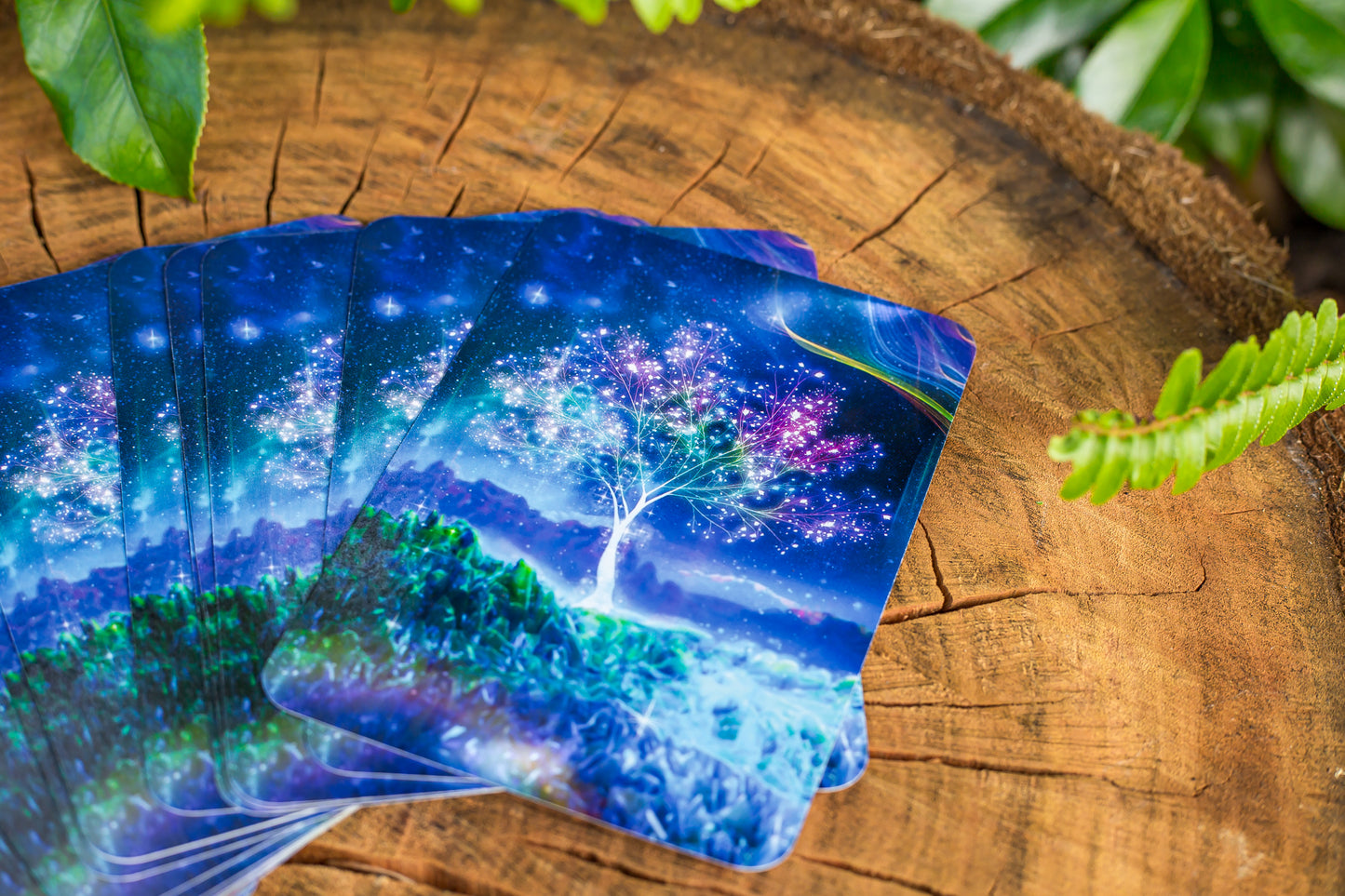Sacred Spirit Reading Cards