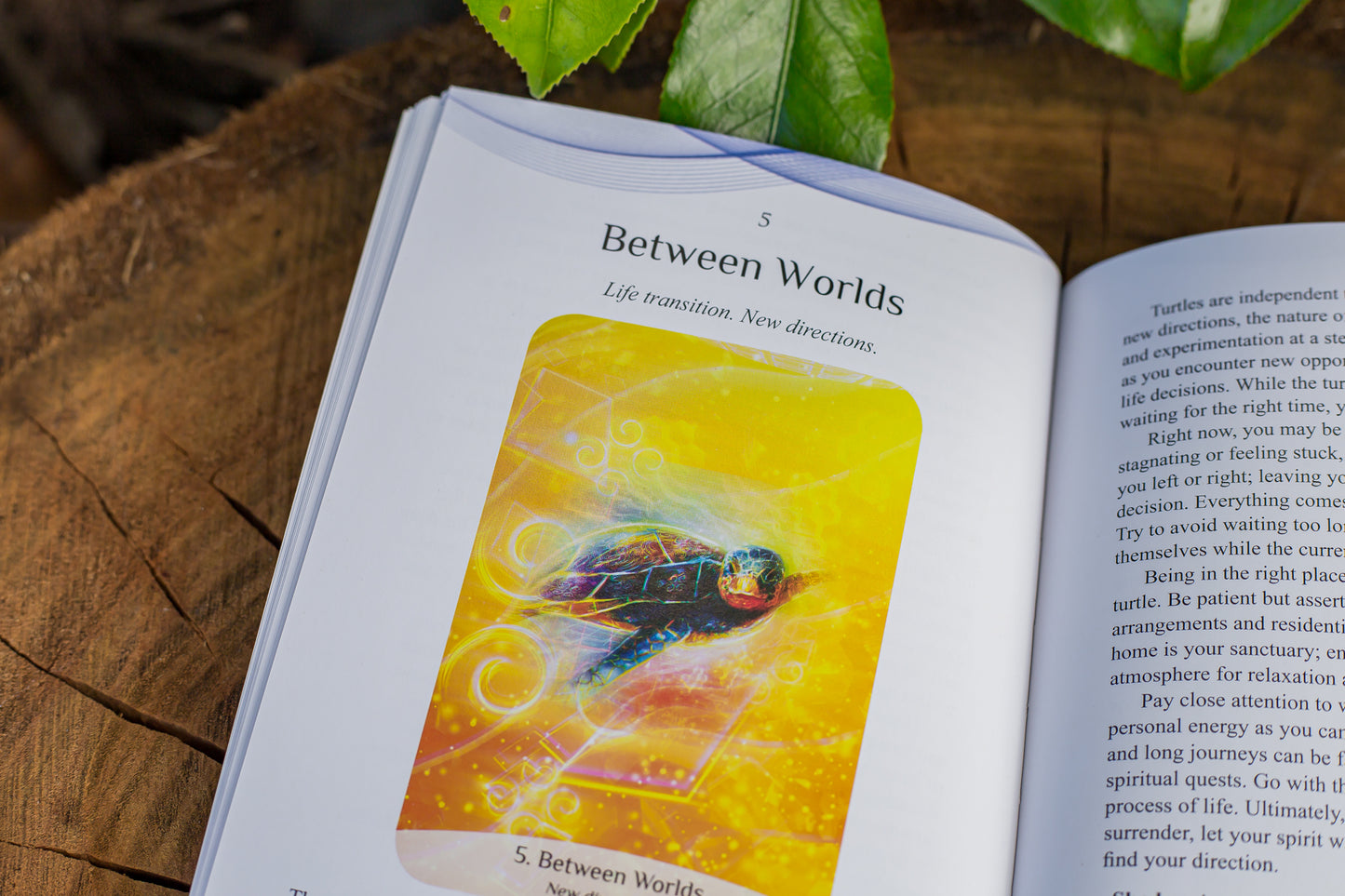 Sacred Spirit Reading Cards