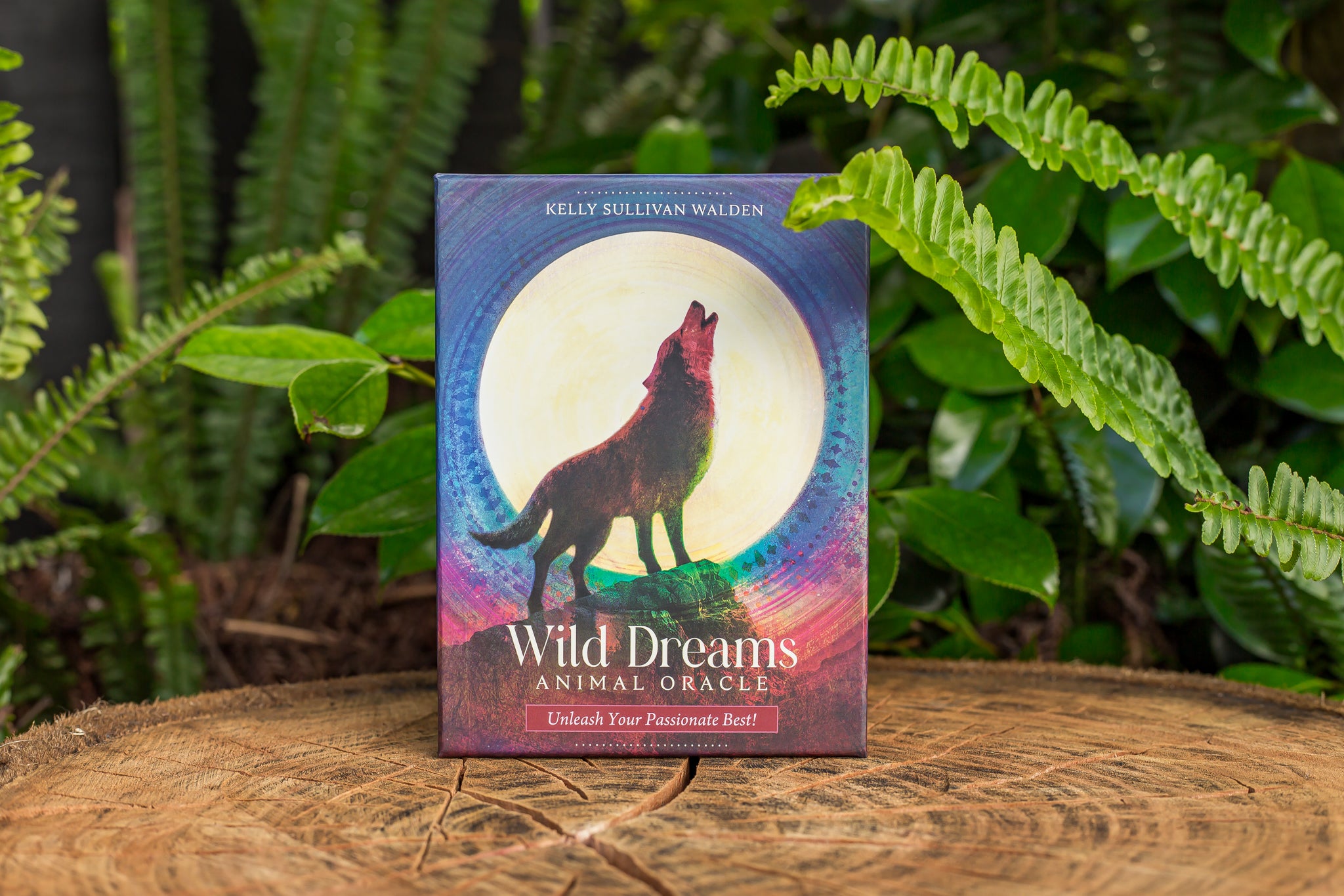 Wild Dreams Animal Oracle