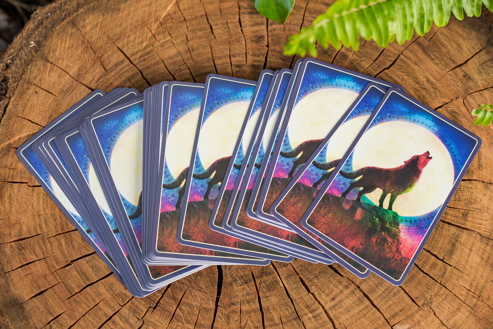 Wild Dreams Animal Oracle