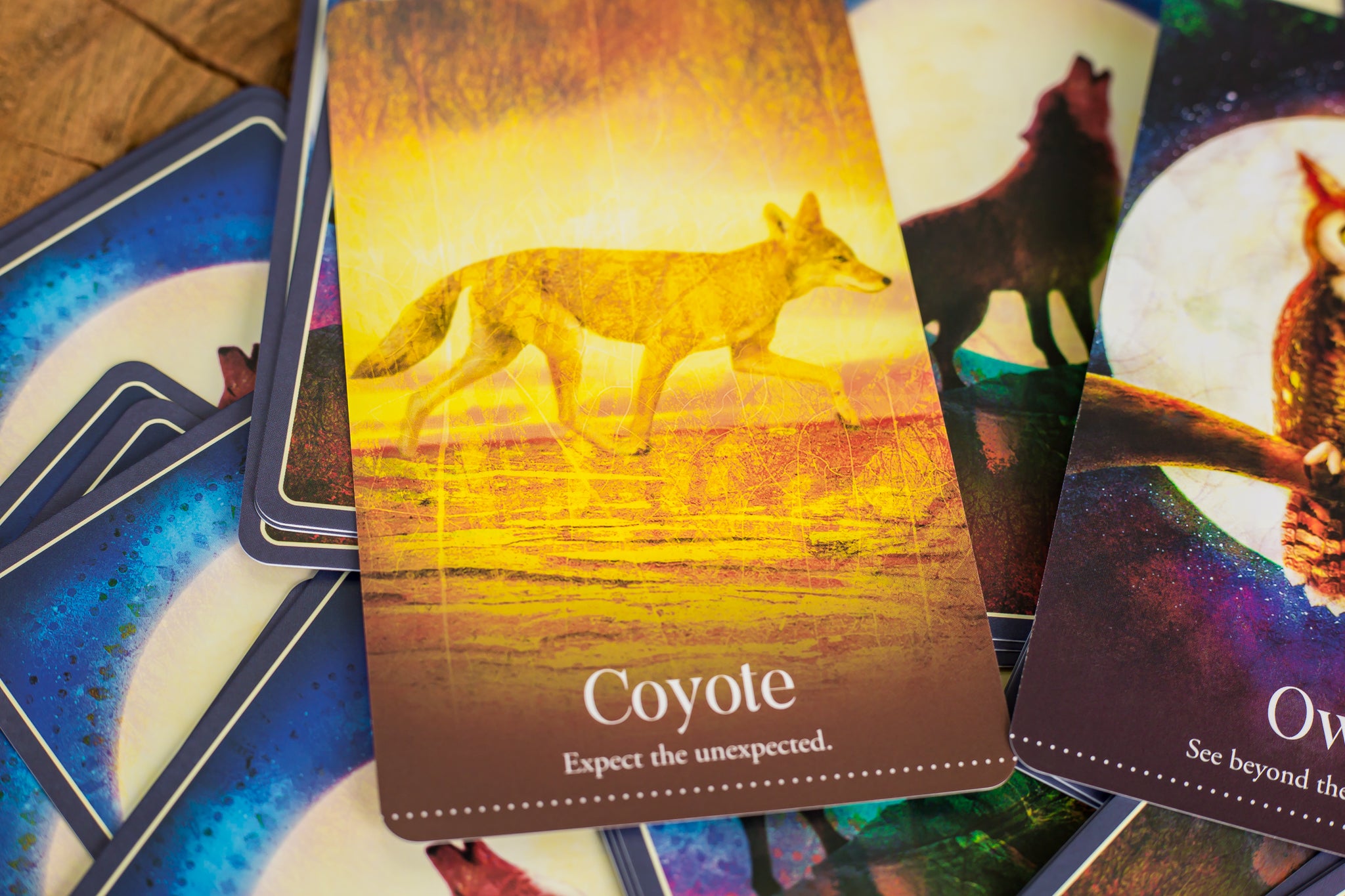 Wild Dreams Animal Oracle