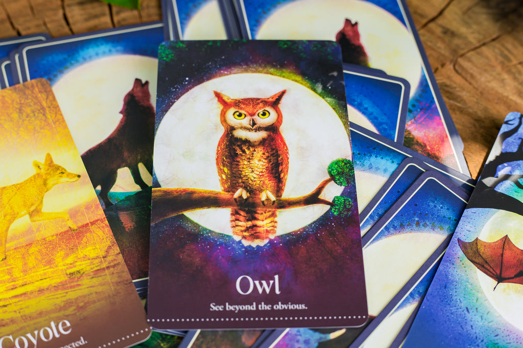Wild Dreams Animal Oracle