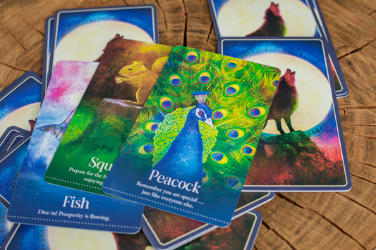 Wild Dreams Animal Oracle