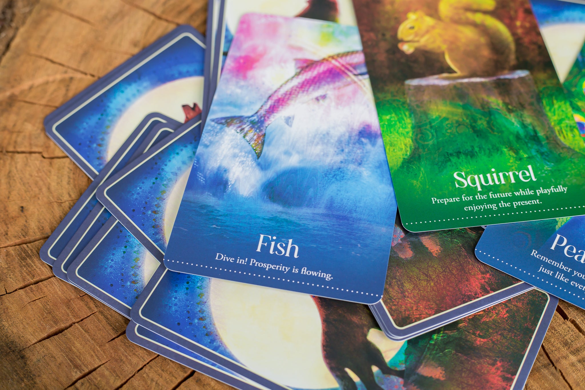 Wild Dreams Animal Oracle