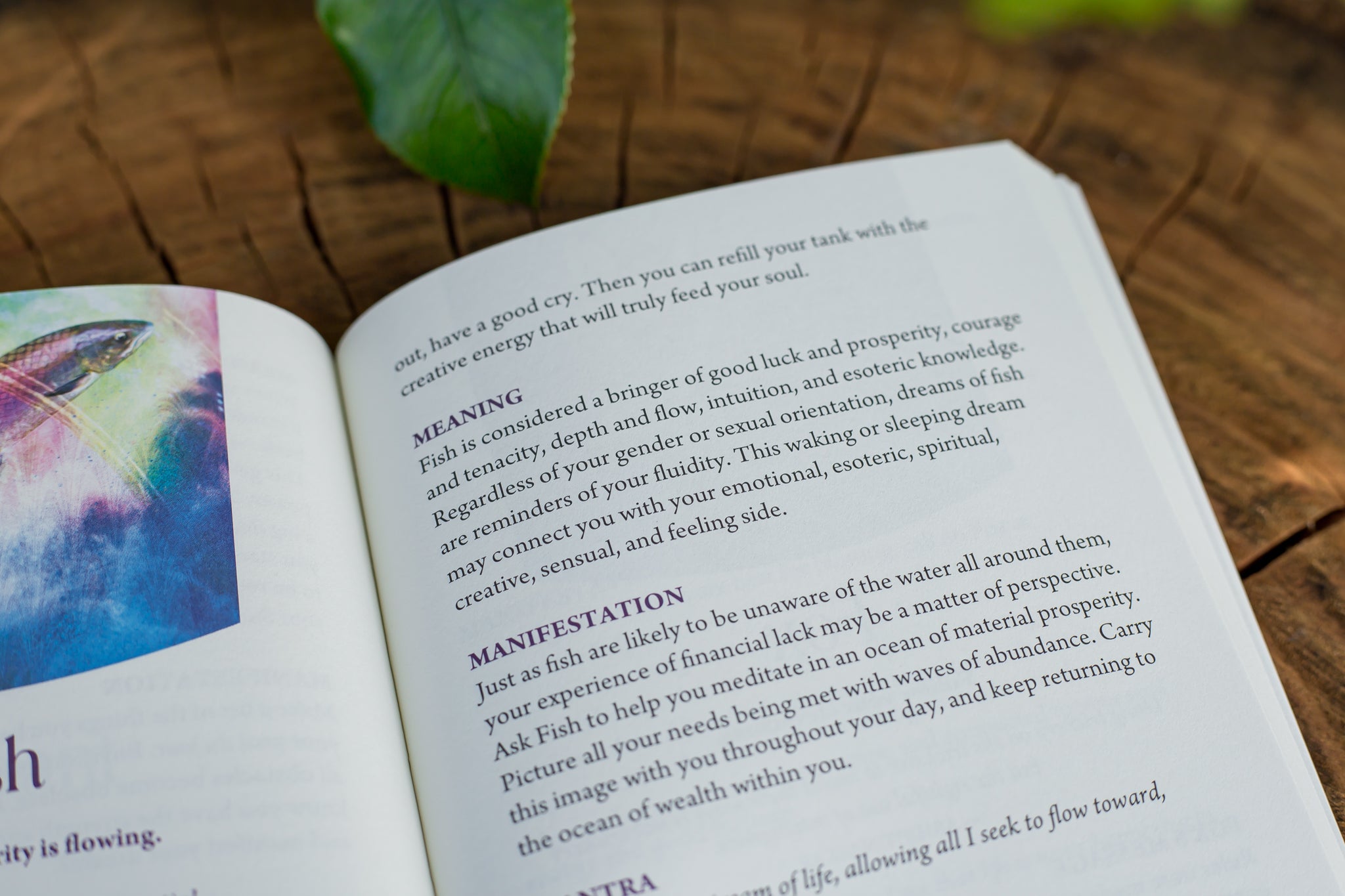 Wild Dreams Animal Oracle