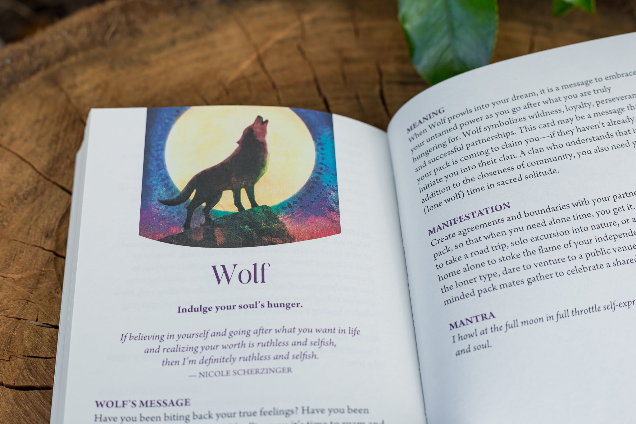 Wild Dreams Animal Oracle