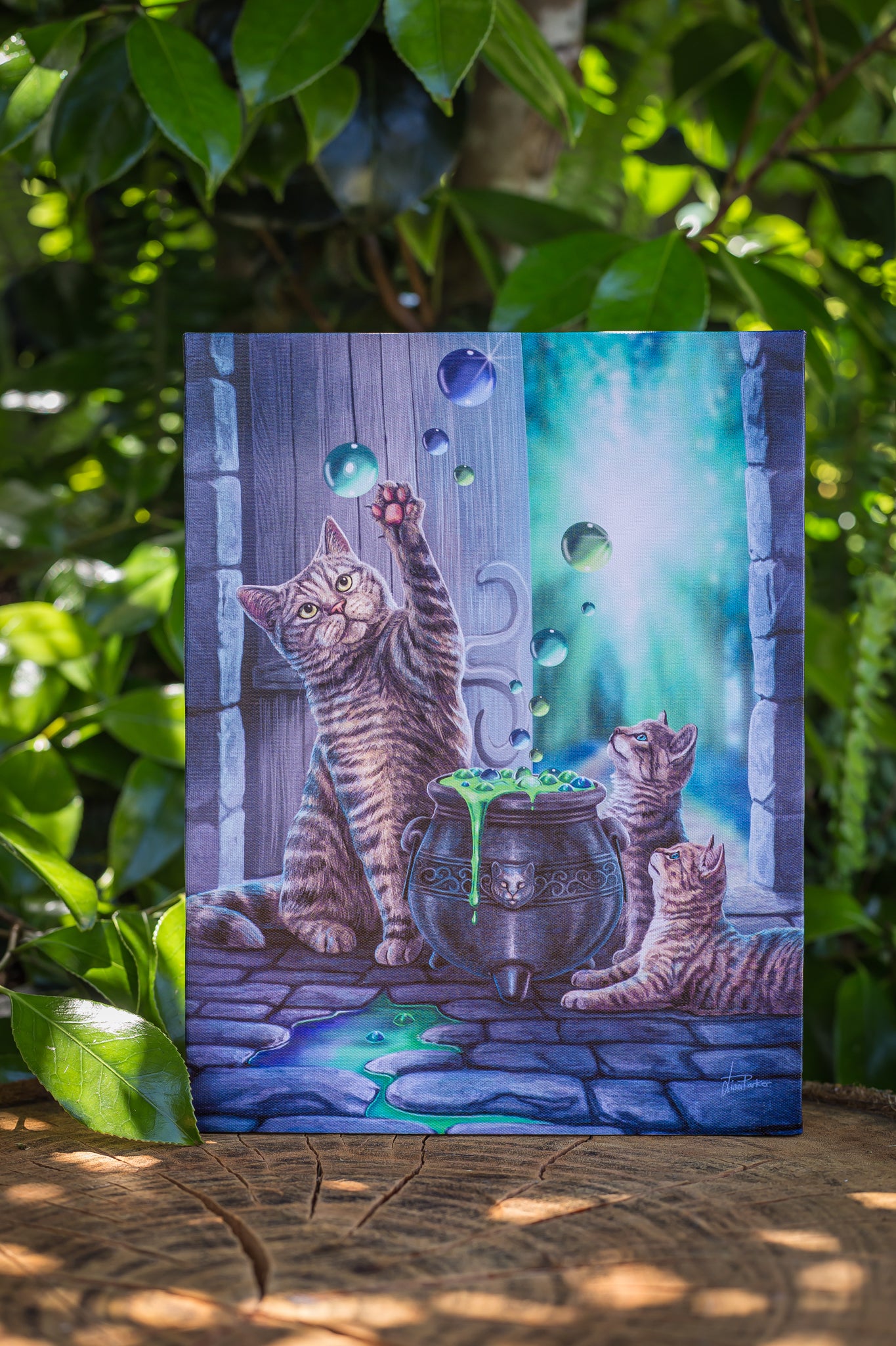 Hubble Bubble Cat Canvas