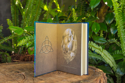 Fairy Whispers Journal